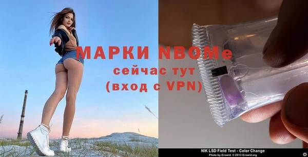 гидра Алзамай