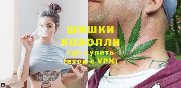 дживик Абаза