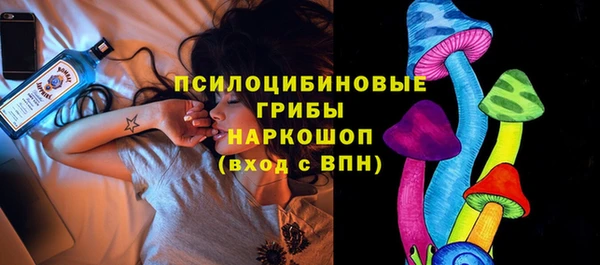 шишки Абдулино