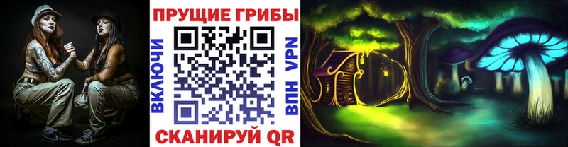цена наркотик Собинка Галлюциногенные грибы Psilocybine cubensis